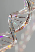 DNA 深度喚醒：源頭光頻與 Live 小晶缽聲波共振 Deep DNA Activation: Source Light Frequency & Live Crystal Bowl Resonance