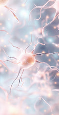 神經系統重整：顯化基礎 Nervous System Reset: Manifestation Foundation